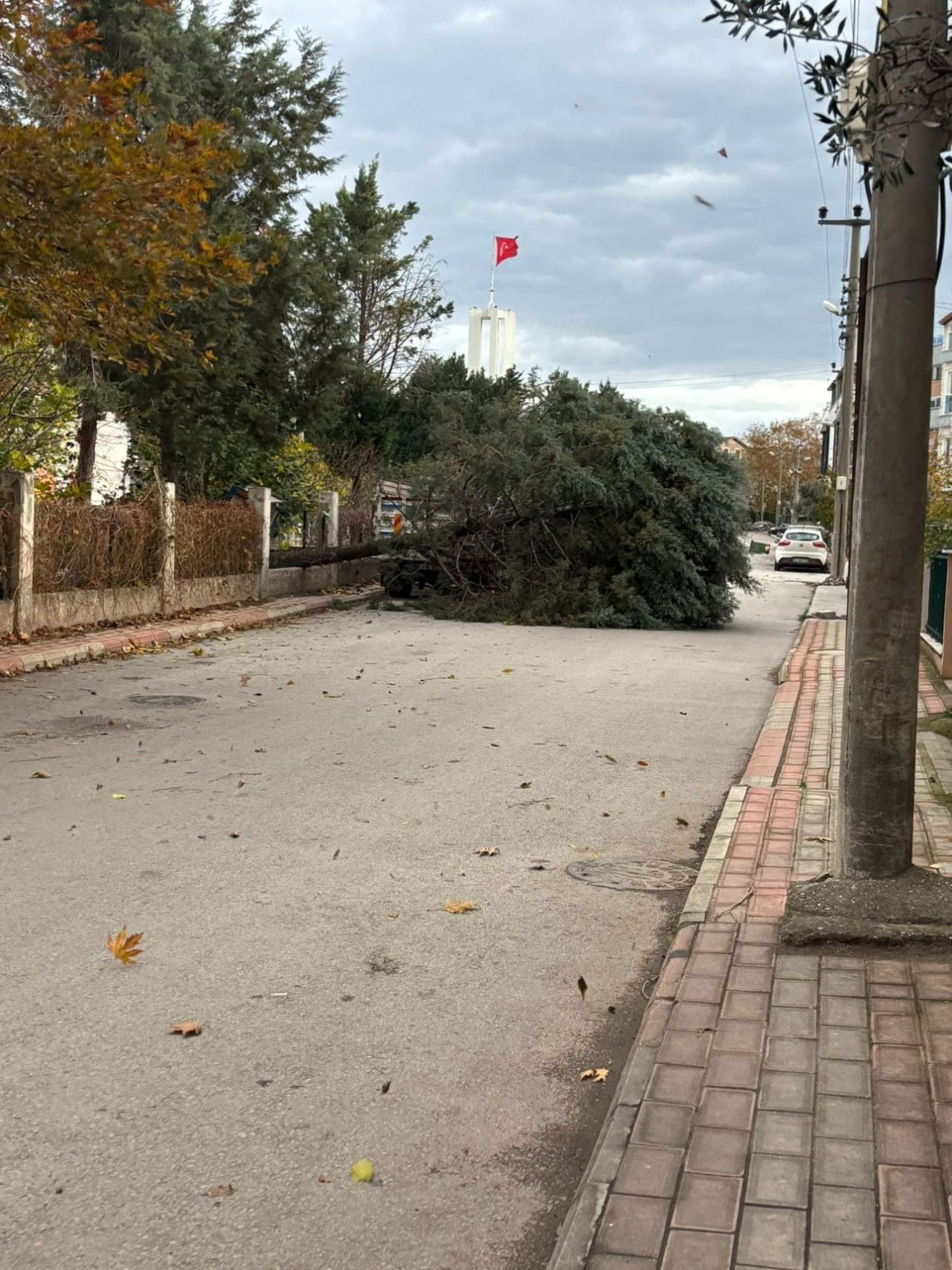 Kocaeli'de deniz taşarken 2 tekne battı, ağaçlar ise yerlerinden söküldü - Sayfa 5