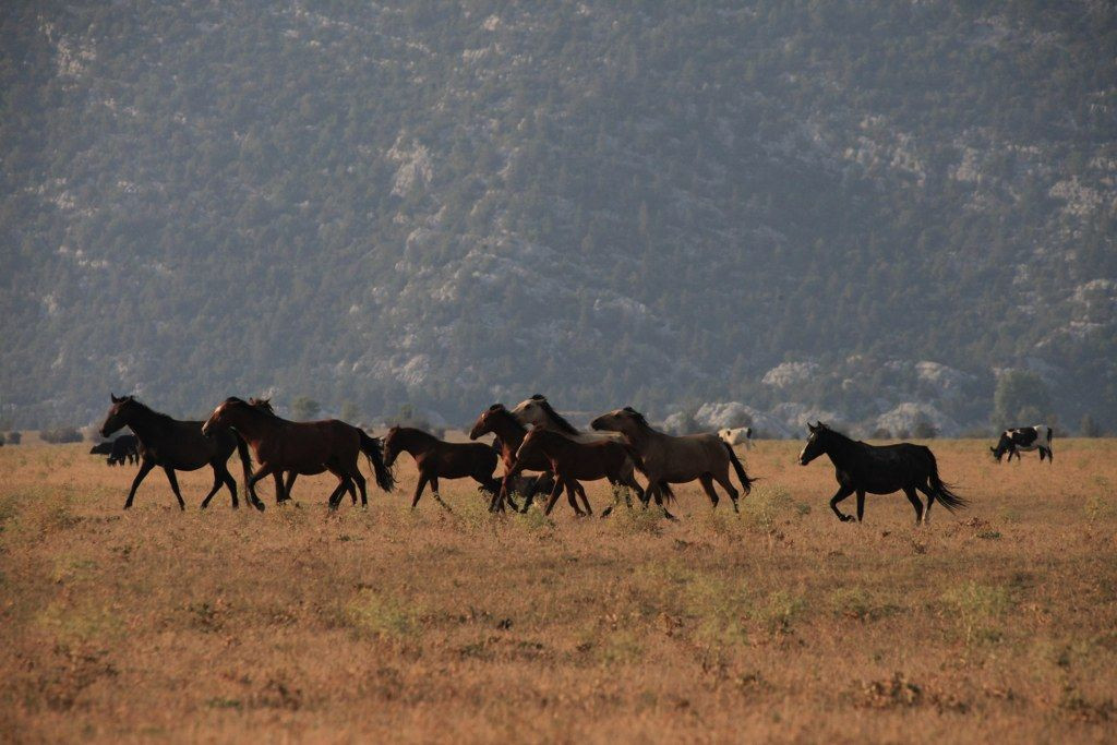 Dünyanın en iyi turizm köyü - Sayfa 4