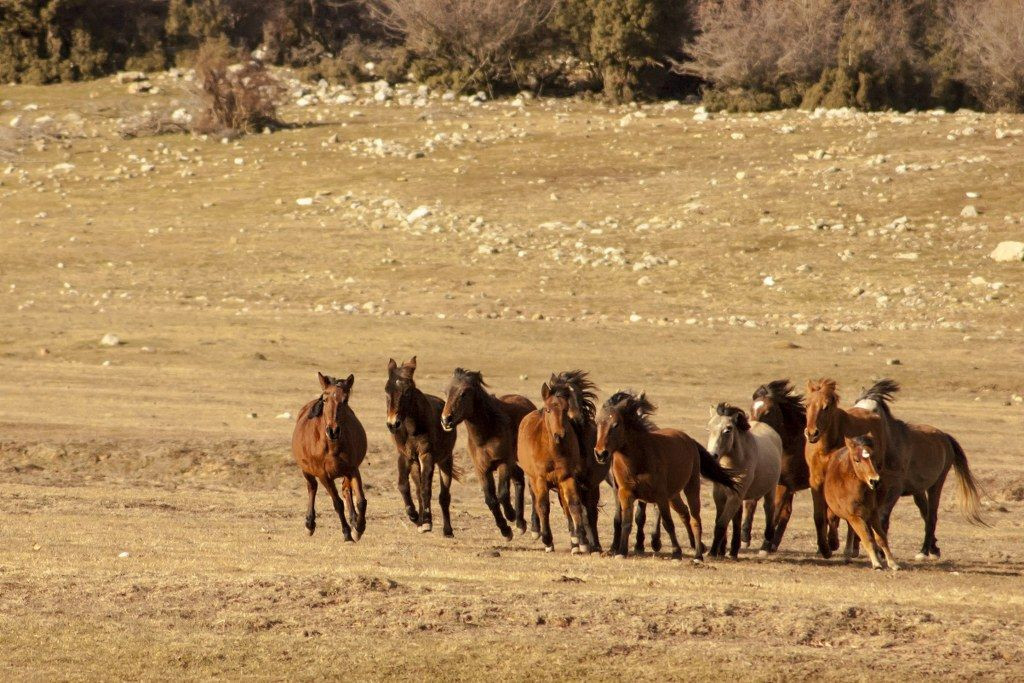 Dünyanın en iyi turizm köyü - Sayfa 17