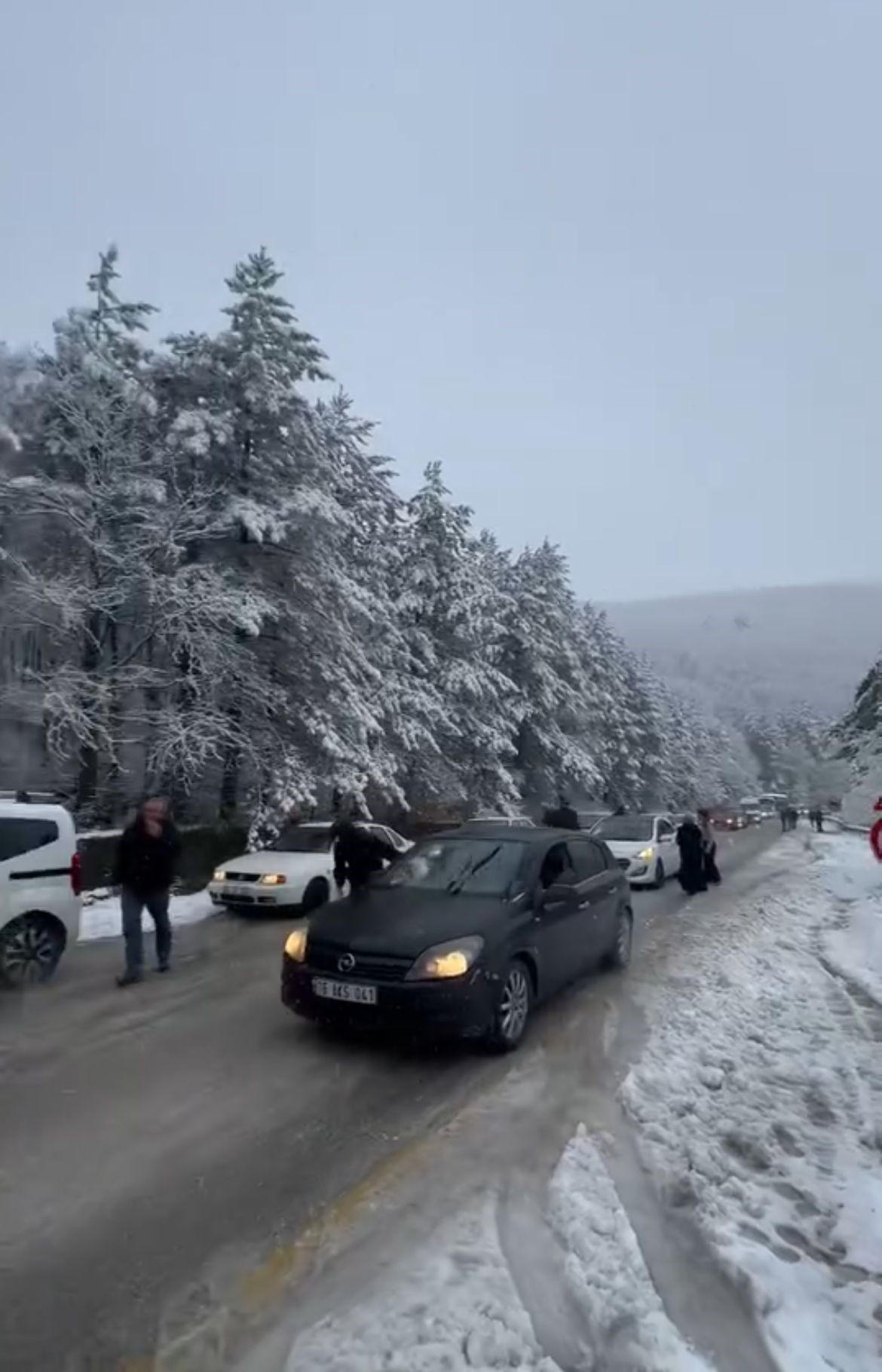 Bursa'da kar yağışıyla hayat durdu...İlçe yolları kapandı, ekipler açmaya çalışıyor - Sayfa 2