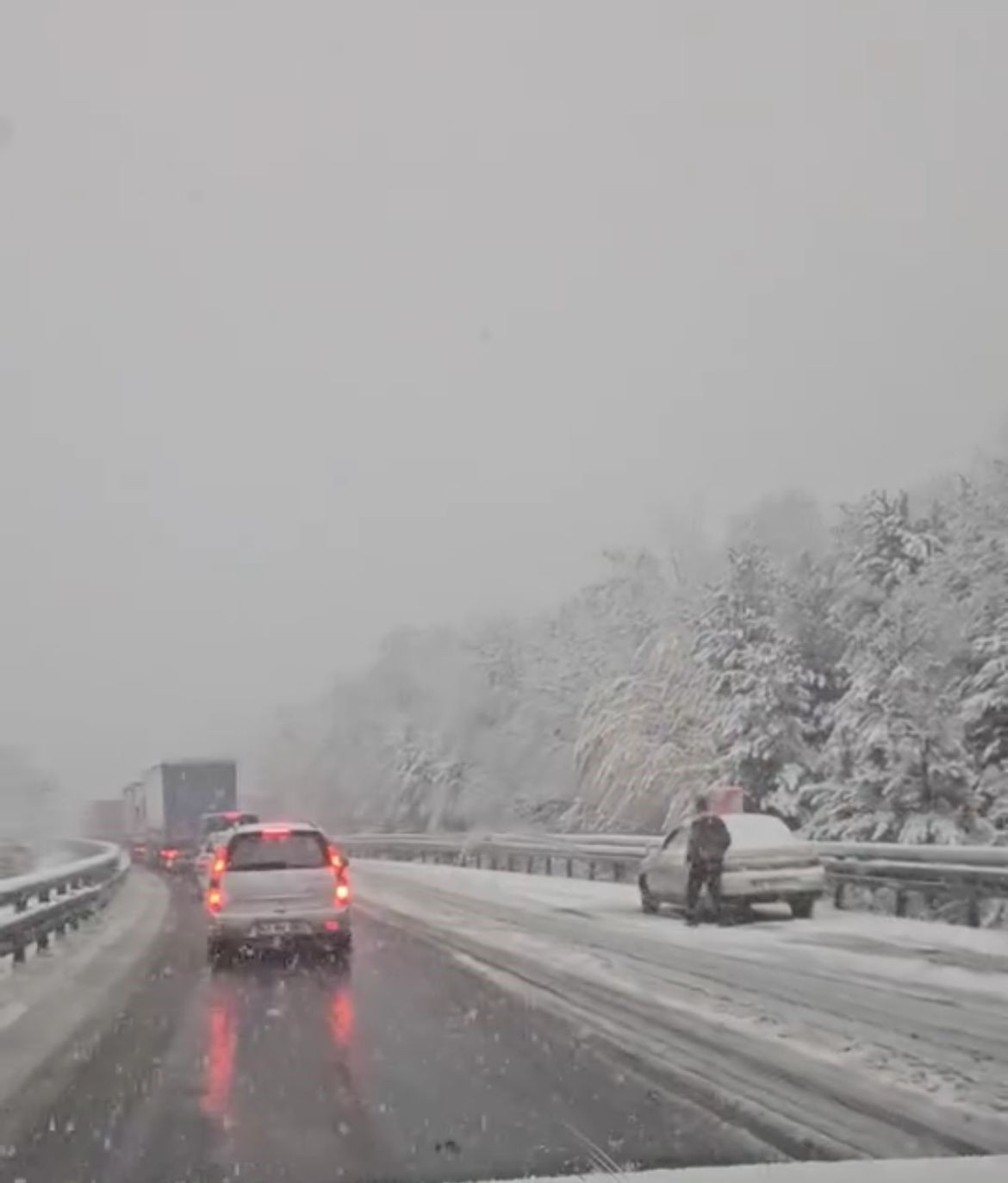 Bursa'da kar yağışıyla hayat durdu...İlçe yolları kapandı, ekipler açmaya çalışıyor - Sayfa 5