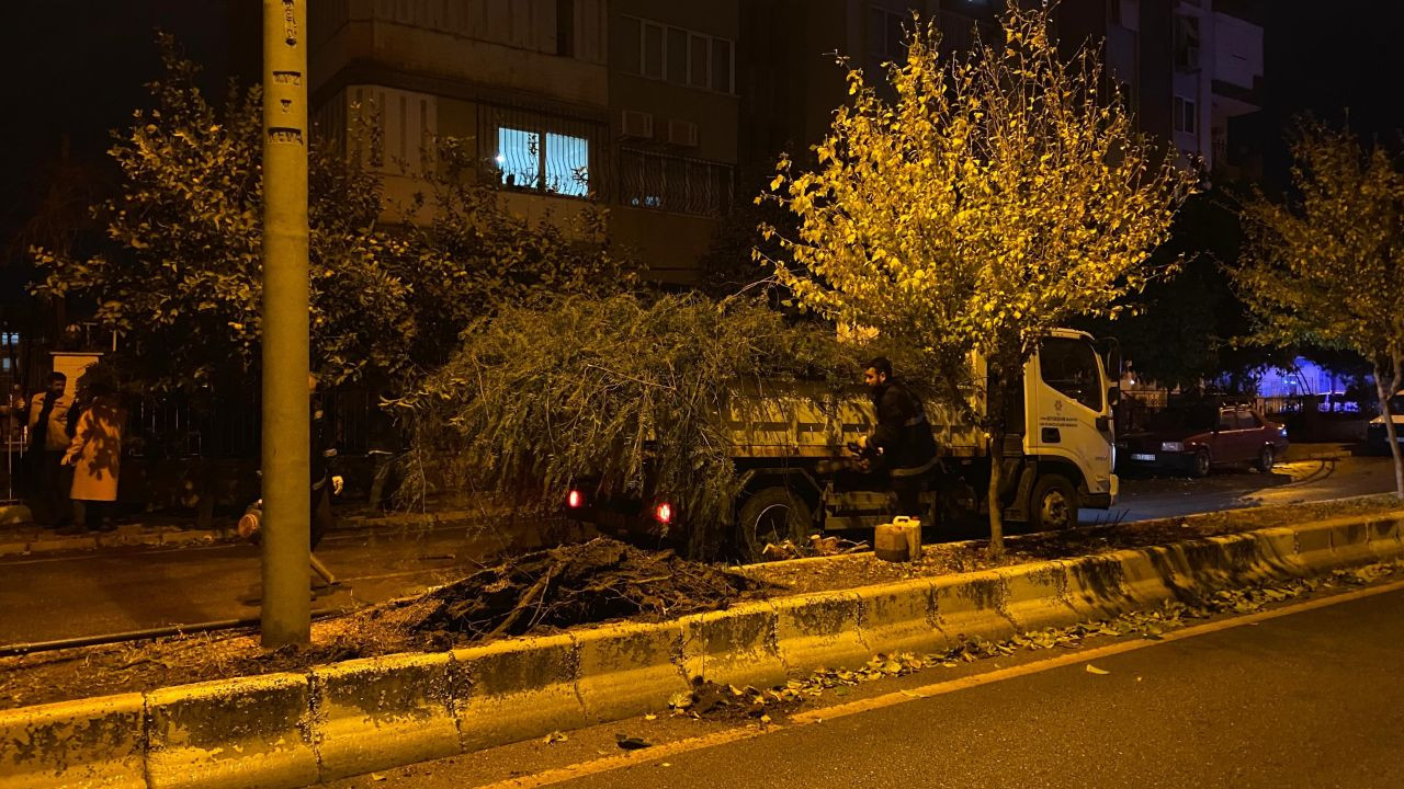 Devrilen ağaç yolu trafiğe kapattı - Sayfa 3