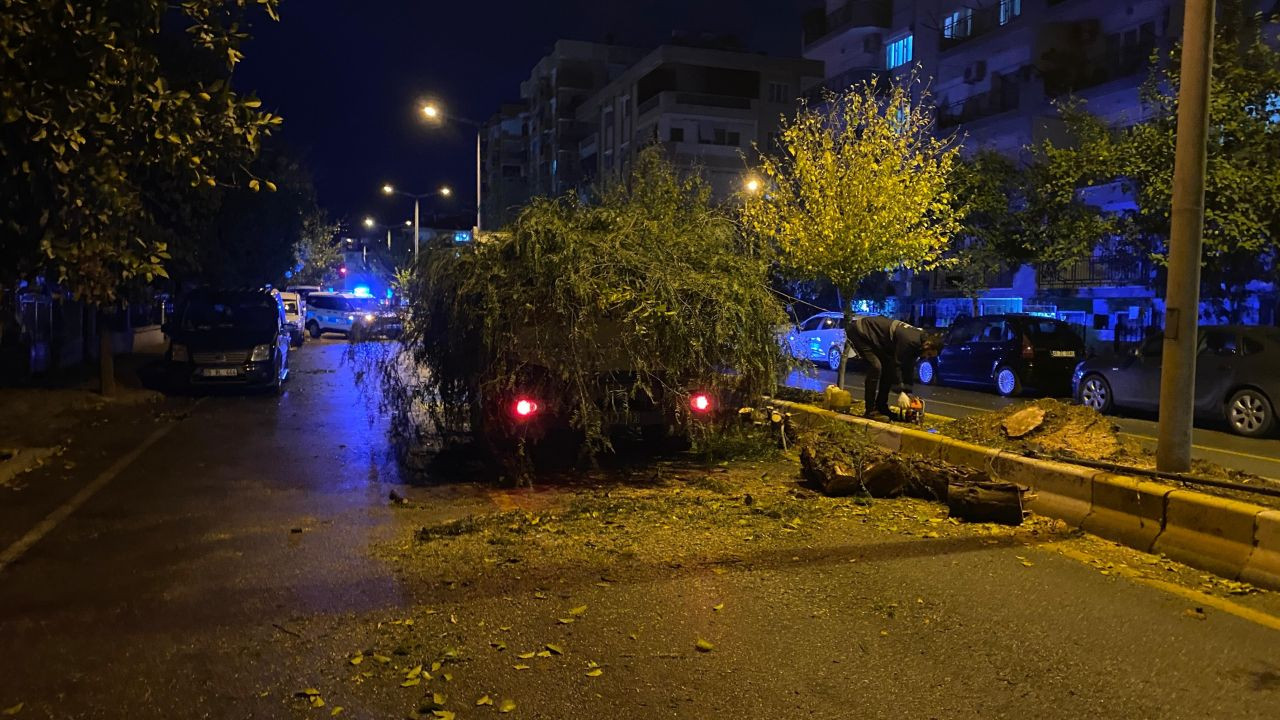 Devrilen ağaç yolu trafiğe kapattı - Sayfa 1