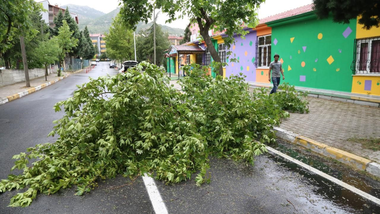 Meteoroloji 48 ili uyardı: Fırtına, sağanak ve kar geliyor - Sayfa 22