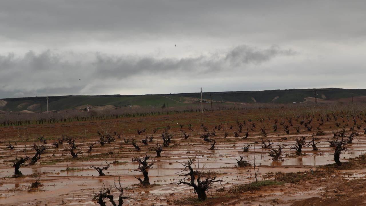 Meteoroloji 48 ili uyardı: Fırtına, sağanak ve kar geliyor - Sayfa 43