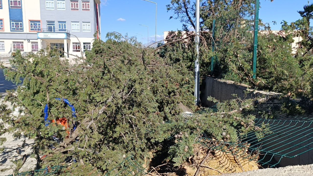 Manavgat'da şiddetli fırtına ve rüzgar ağaçları yıktı, okula zarar verdi - Sayfa 7