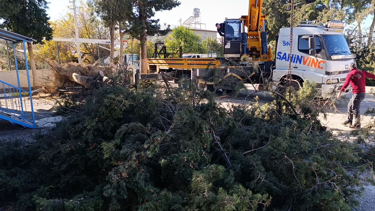 Manavgat'da şiddetli fırtına ve rüzgar ağaçları yıktı, okula zarar verdi - Sayfa 3