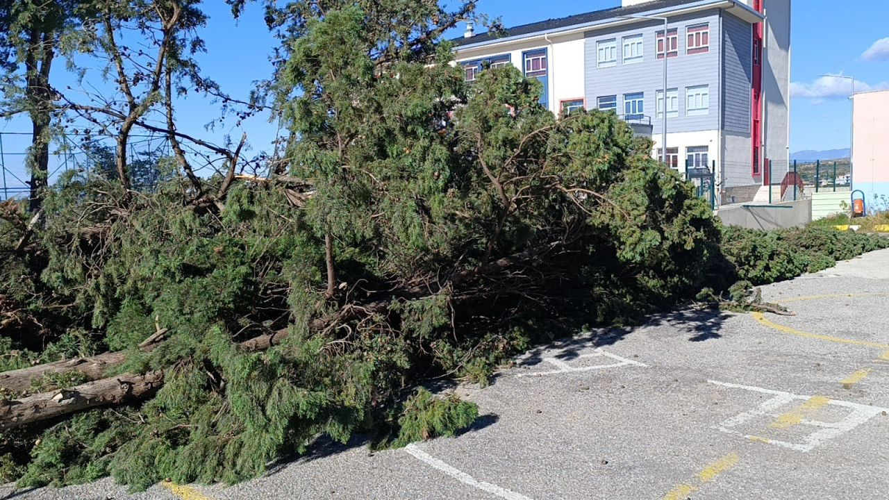 Manavgat'da şiddetli fırtına ve rüzgar ağaçları yıktı, okula zarar verdi - Sayfa 2