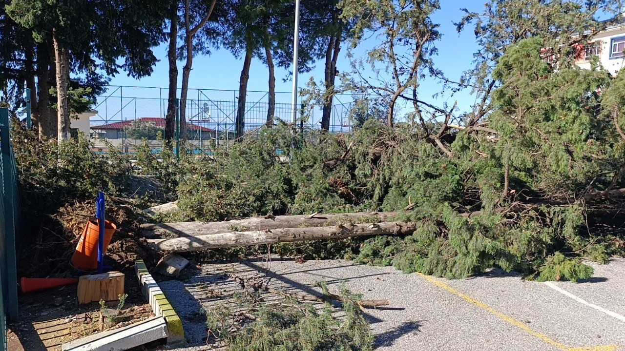 Manavgat'da şiddetli fırtına ve rüzgar ağaçları yıktı, okula zarar verdi