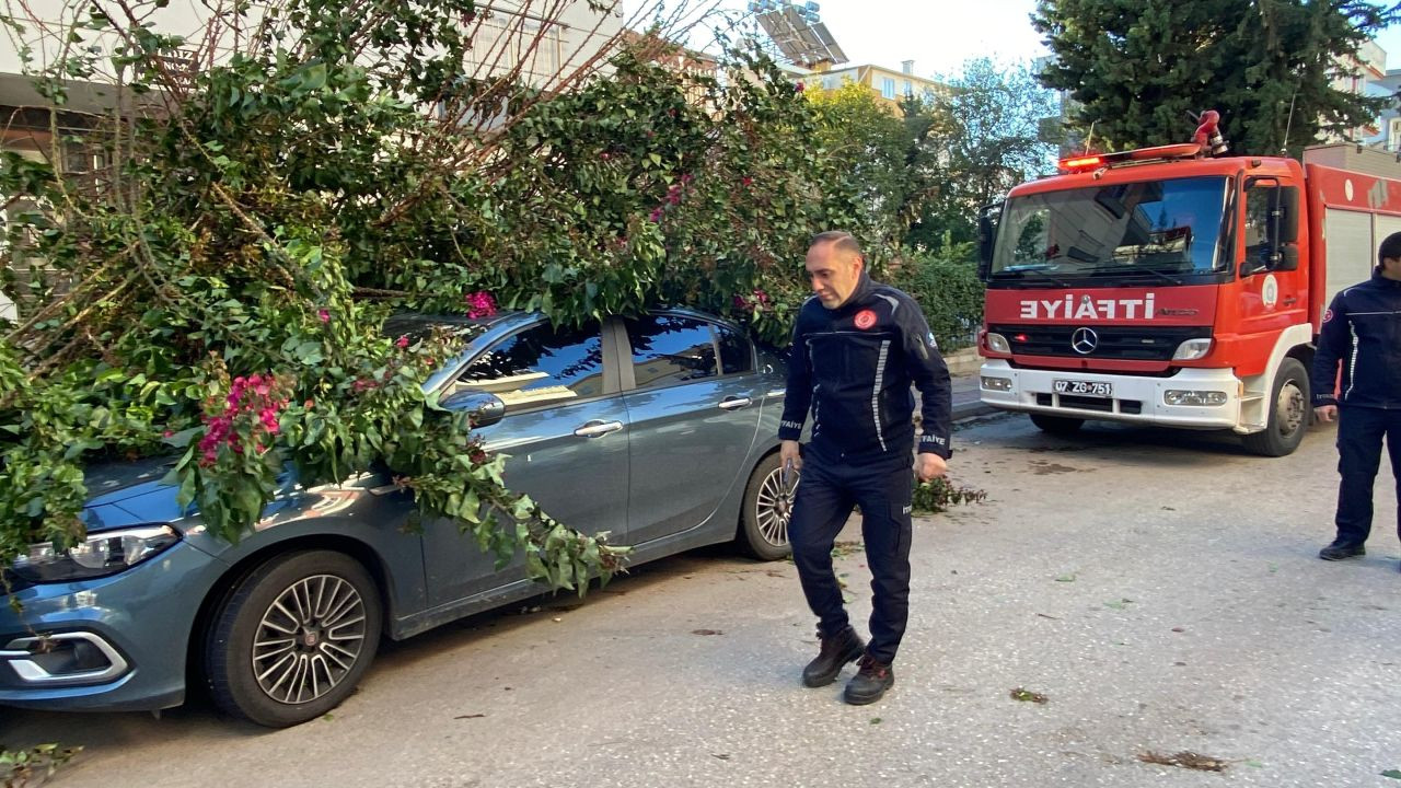 Antalya'da fırtınaya dayanamayan ağaç park halindeki aracın üzerine devrildi - Sayfa 5