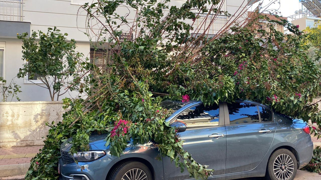 Antalya'da fırtınaya dayanamayan ağaç park halindeki aracın üzerine devrildi - Sayfa 4