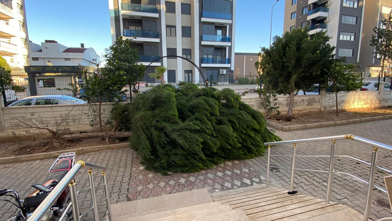 Antalya'da fırtınaya dayanamayan ağaç park halindeki aracın üzerine devrildi - Sayfa 2