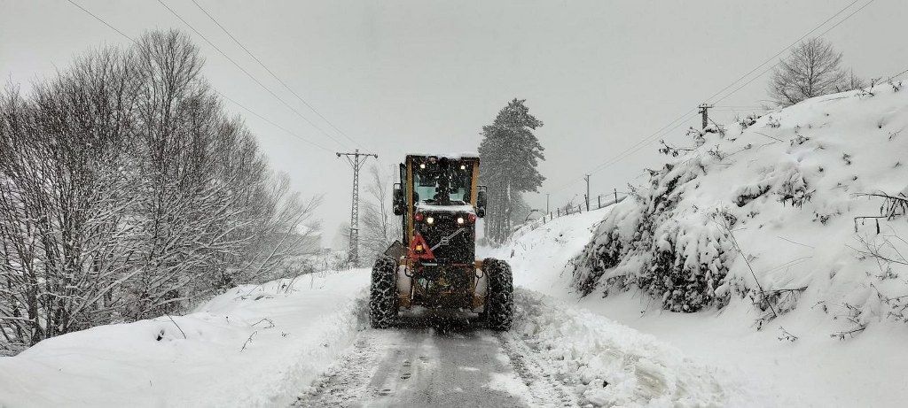 Ordu'da kar yağışı etkili oldu - Sayfa 1