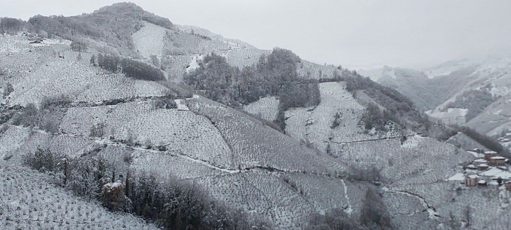 Ordu'da kar yağışı etkili oldu - Sayfa 6