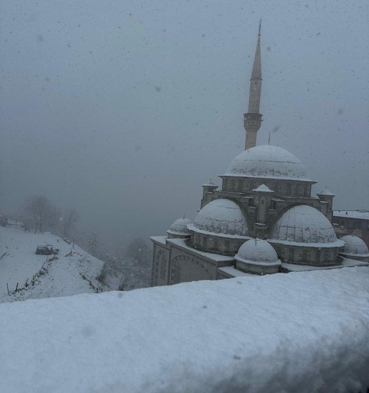 Ordu'da kar yağışı etkili oldu - Sayfa 8