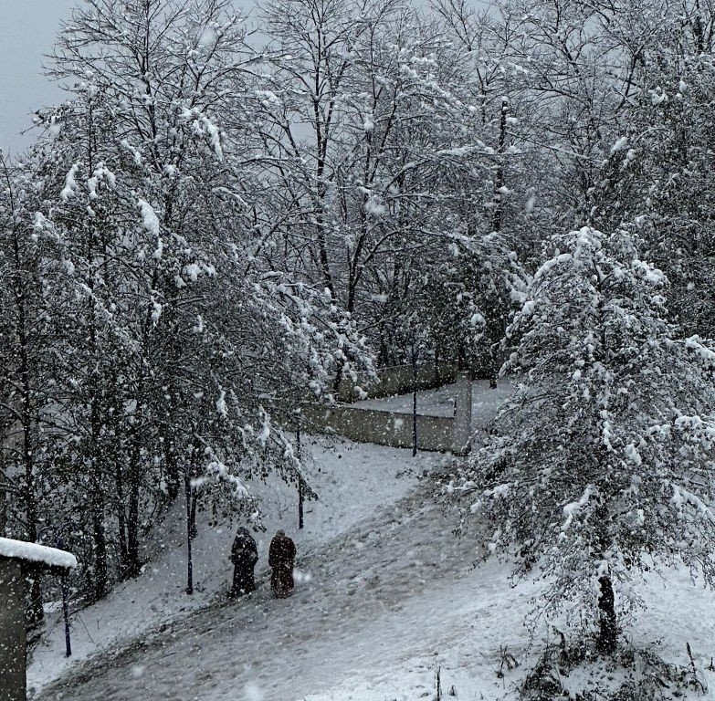 Ordu'da kar yağışı etkili oldu - Sayfa 9