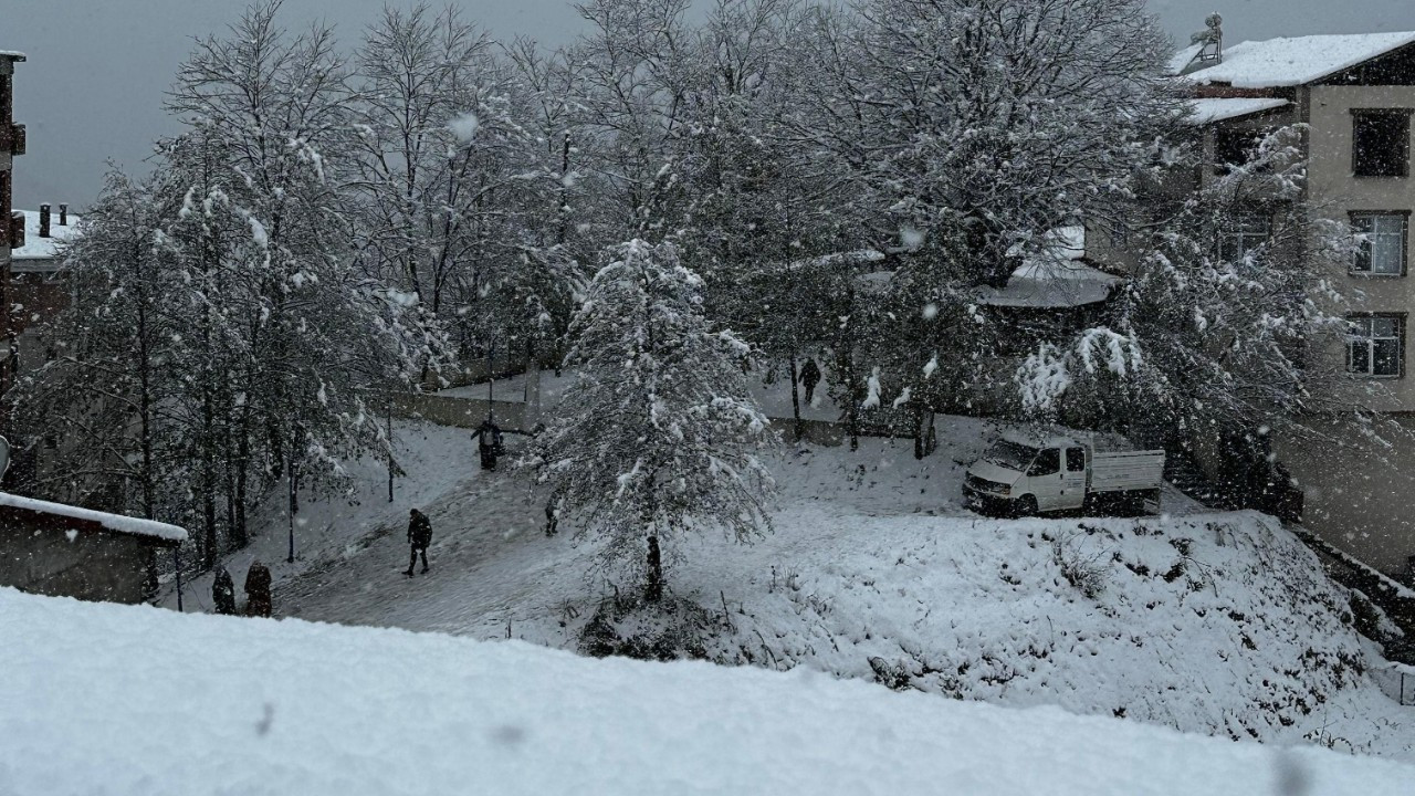 Ordu'da kar yağışı etkili oldu