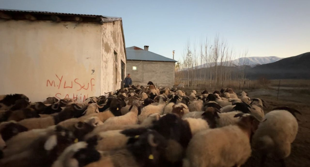 Okulda öğretmen köyde çiftçi - Sayfa 11