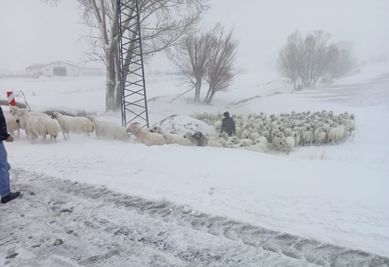 Sivas’ta Mahsur Kalan Çoban ve Sürüsü Kurtarıldı - Sayfa 1