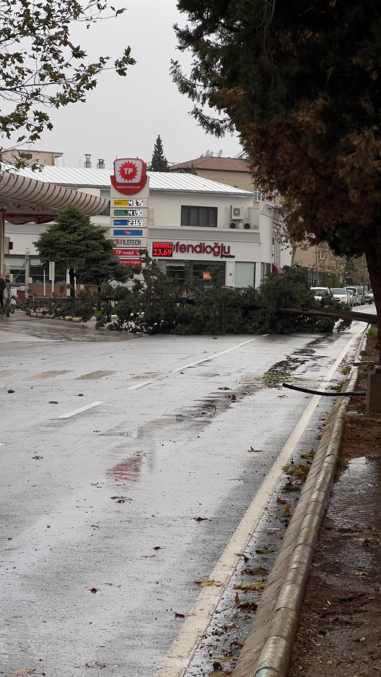 Rüzgar Şiddetini Arttırınca 315 Ağaç Devrildi: İstinat Duvarı Yerle Bir Oldu! - Sayfa 3