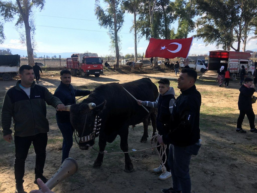 Güreşi kazanınca davul zurna eşliğinde oynadı - Sayfa 4