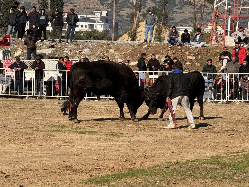 Güreşi kazanınca davul zurna eşliğinde oynadı - Sayfa 6