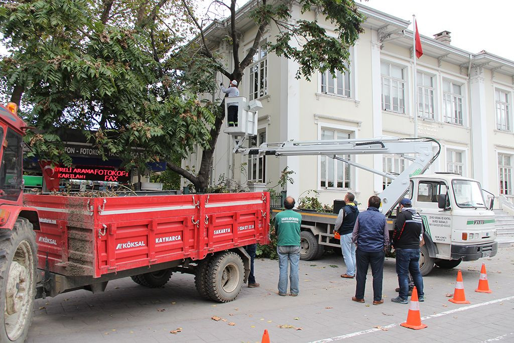 Sakarya'da Yeşil Cennet Teknolojiyle Korunuyor: 3 Boyutlu Ağaç Tomografisi Hayata Geçiyor - Sayfa 2