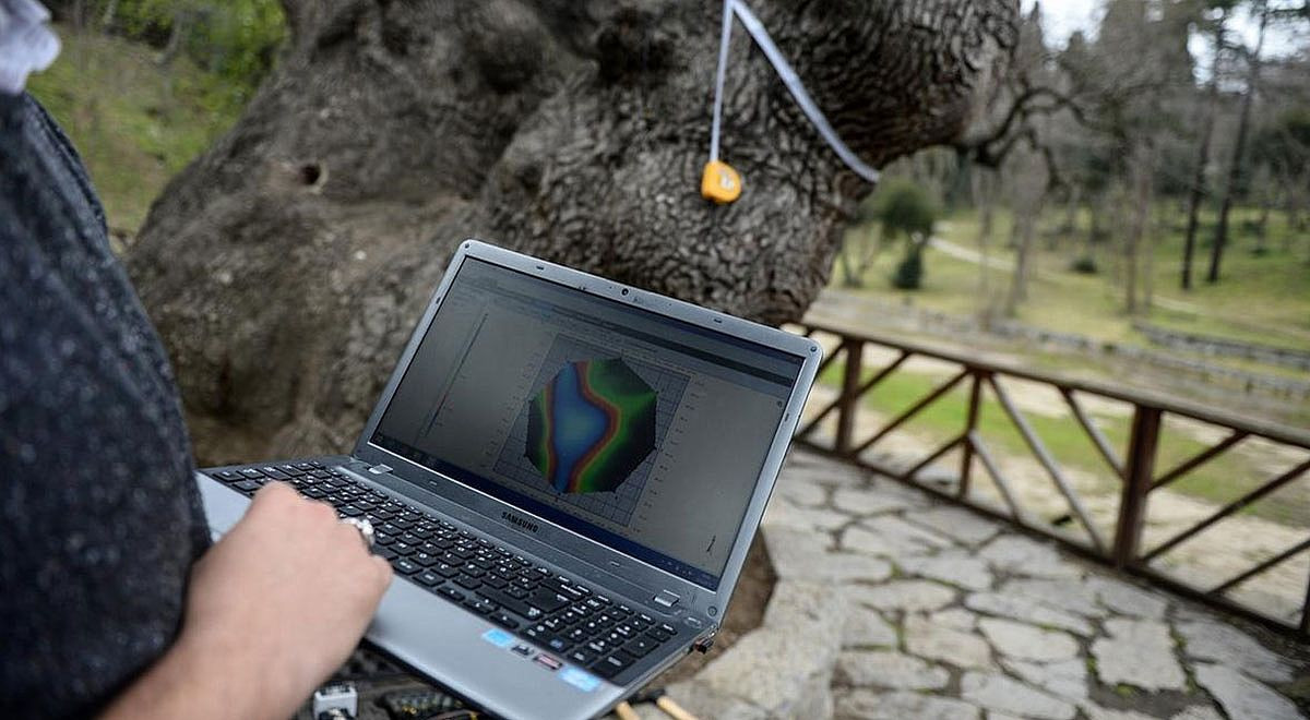 Sakarya'da Yeşil Cennet Teknolojiyle Korunuyor: 3 Boyutlu Ağaç Tomografisi Hayata Geçiyor - Sayfa 7