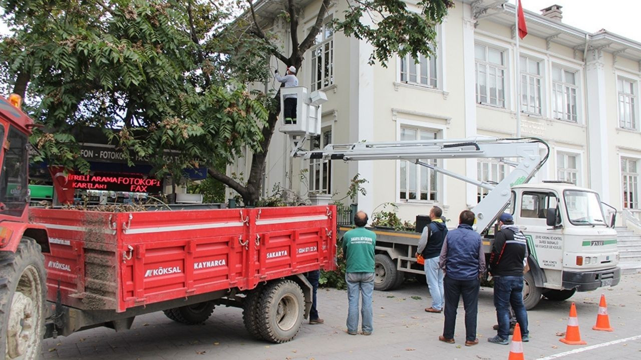 Sakarya'da Yeşil Cennet Teknolojiyle Korunuyor: 3 Boyutlu Ağaç Tomografisi Hayata Geçiyor