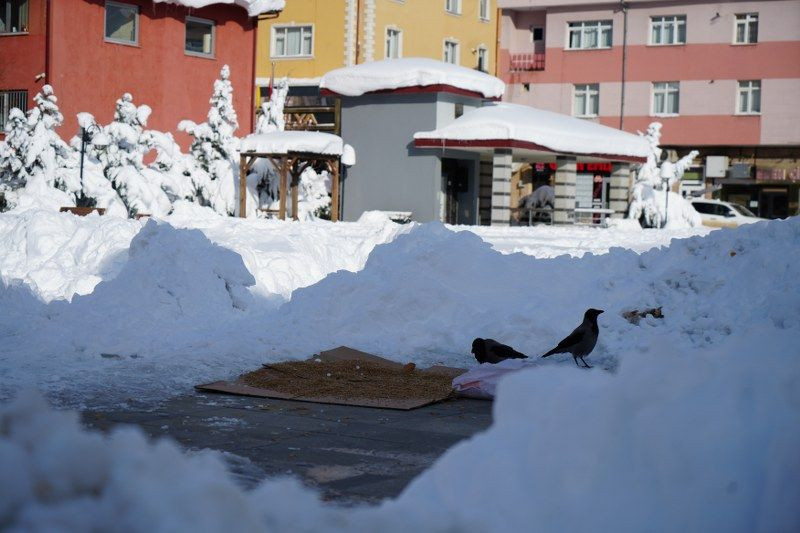 Bayburt Bayburt Olalı Böyle Kar Görmedi: Kuşlar Dondu Otoparkın Çatısı Çöktü Buz Sarkıtları Oluştu! - Sayfa 3