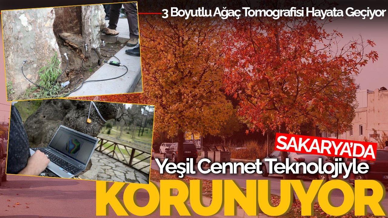 Sakarya'da Yeşil Cennet Teknolojiyle Korunuyor: 3 Boyutlu Ağaç Tomografisi Hayata Geçiyor