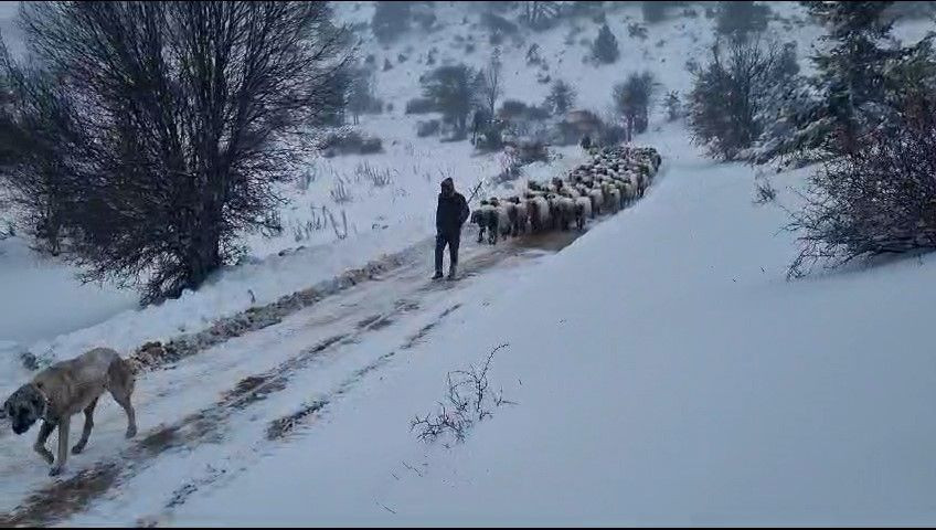 Mut’ta 14 çoban ve binlerce hayvan kurtarıldı - Sayfa 3