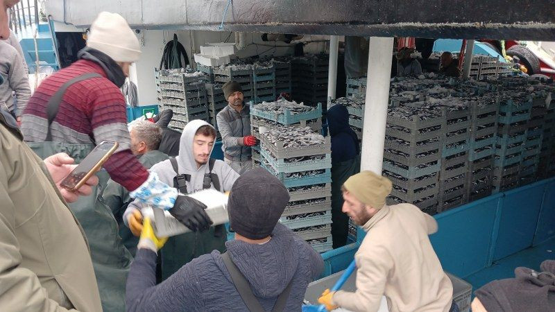 Batı Karadeniz'de "Hamsi" Bolluğu Yüzleri Güldürdü - Sayfa 2