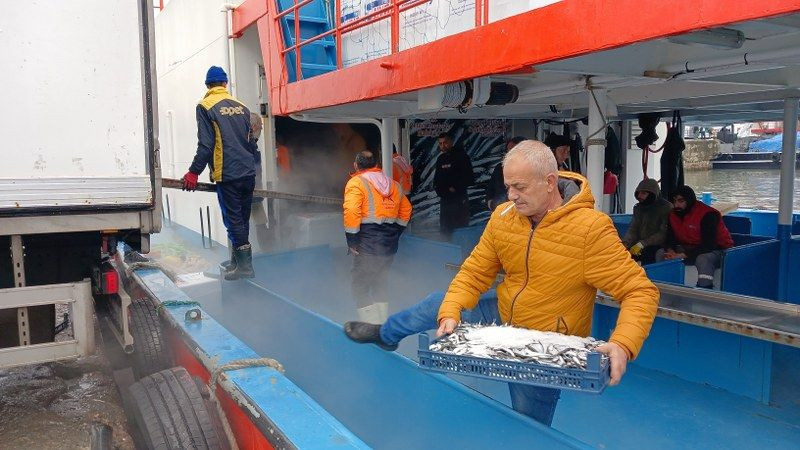 Batı Karadeniz'de "Hamsi" Bolluğu Yüzleri Güldürdü - Sayfa 3