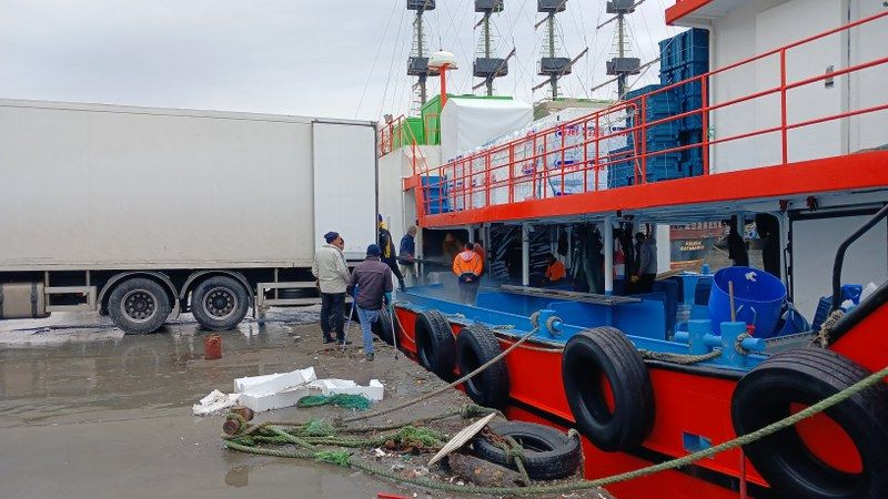 Batı Karadeniz'de "Hamsi" Bolluğu Yüzleri Güldürdü - Sayfa 4