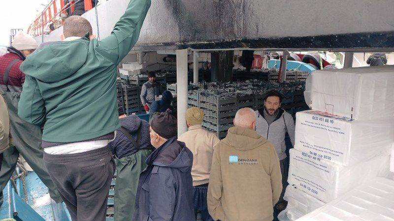 Batı Karadeniz'de "Hamsi" Bolluğu Yüzleri Güldürdü - Sayfa 5