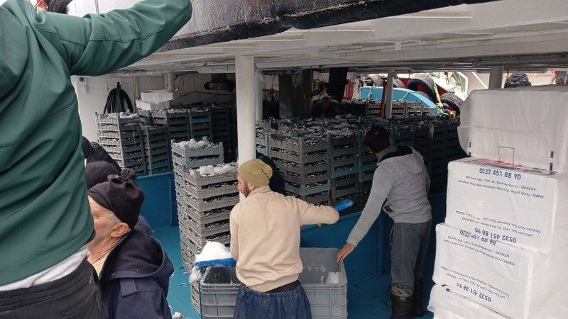 Batı Karadeniz'de "Hamsi" Bolluğu Yüzleri Güldürdü - Sayfa 6