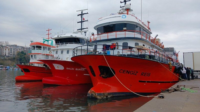 Batı Karadeniz'de "Hamsi" Bolluğu Yüzleri Güldürdü - Sayfa 1