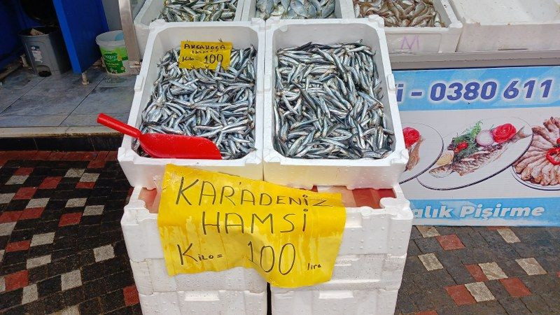 Batı Karadeniz'de "Hamsi" Bolluğu Yüzleri Güldürdü - Sayfa 7