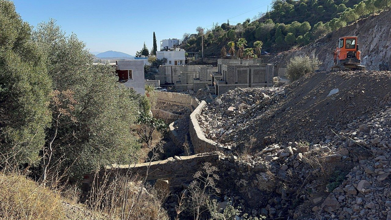 Suavi'nin Bodrum'daki arazisinde 40 ağaç kesildi - Sayfa 3