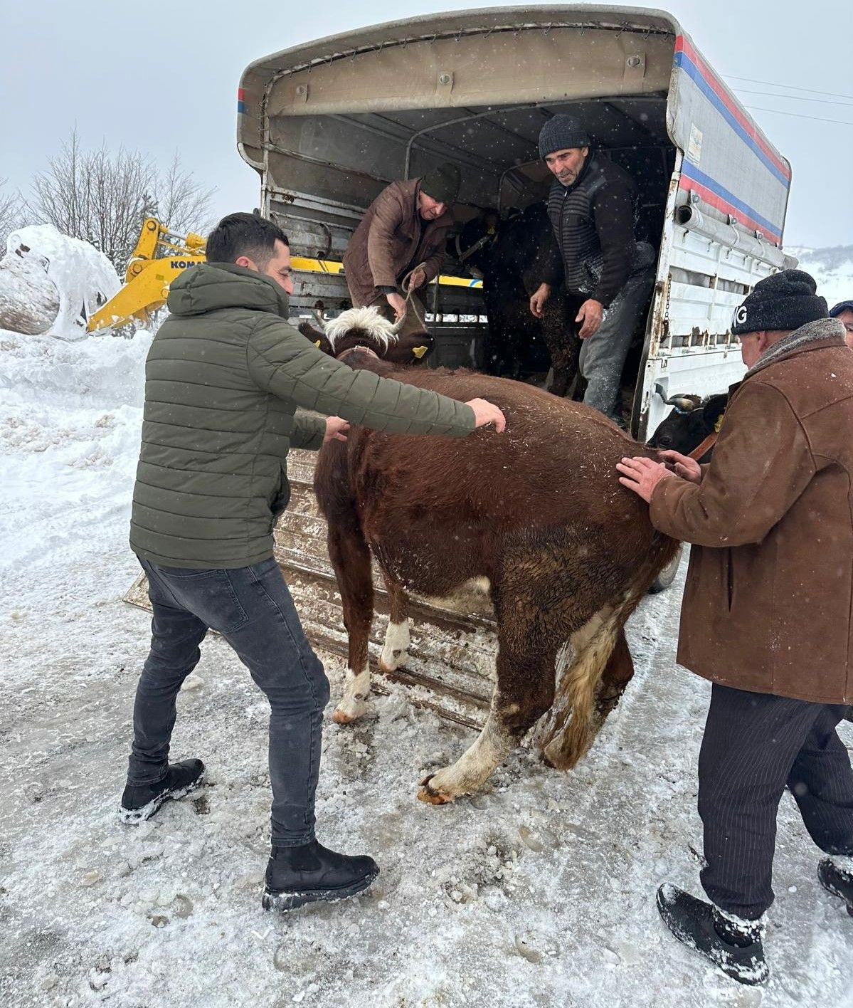 Ordu’da Yaylada Mahsur Kalan Vatandaşlar ve Hayvanları Kurtarıldı - Sayfa 2