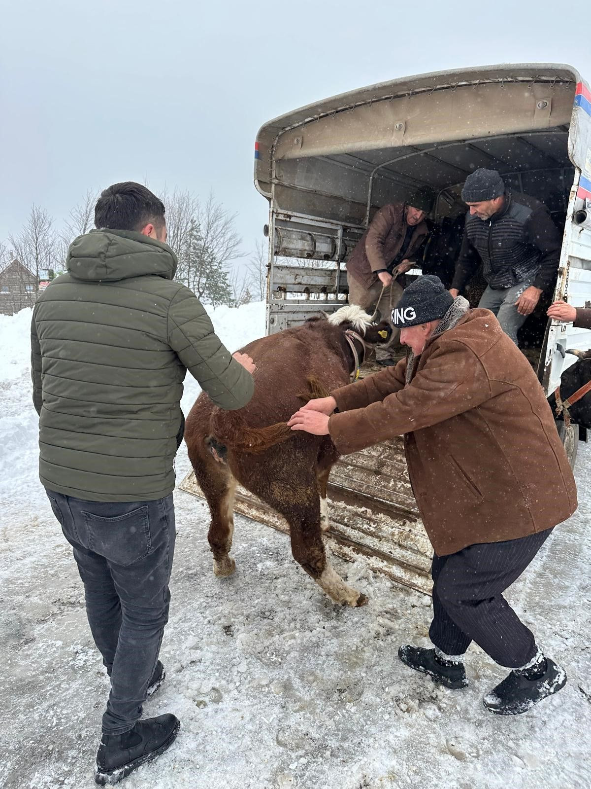 Ordu’da Yaylada Mahsur Kalan Vatandaşlar ve Hayvanları Kurtarıldı - Sayfa 3