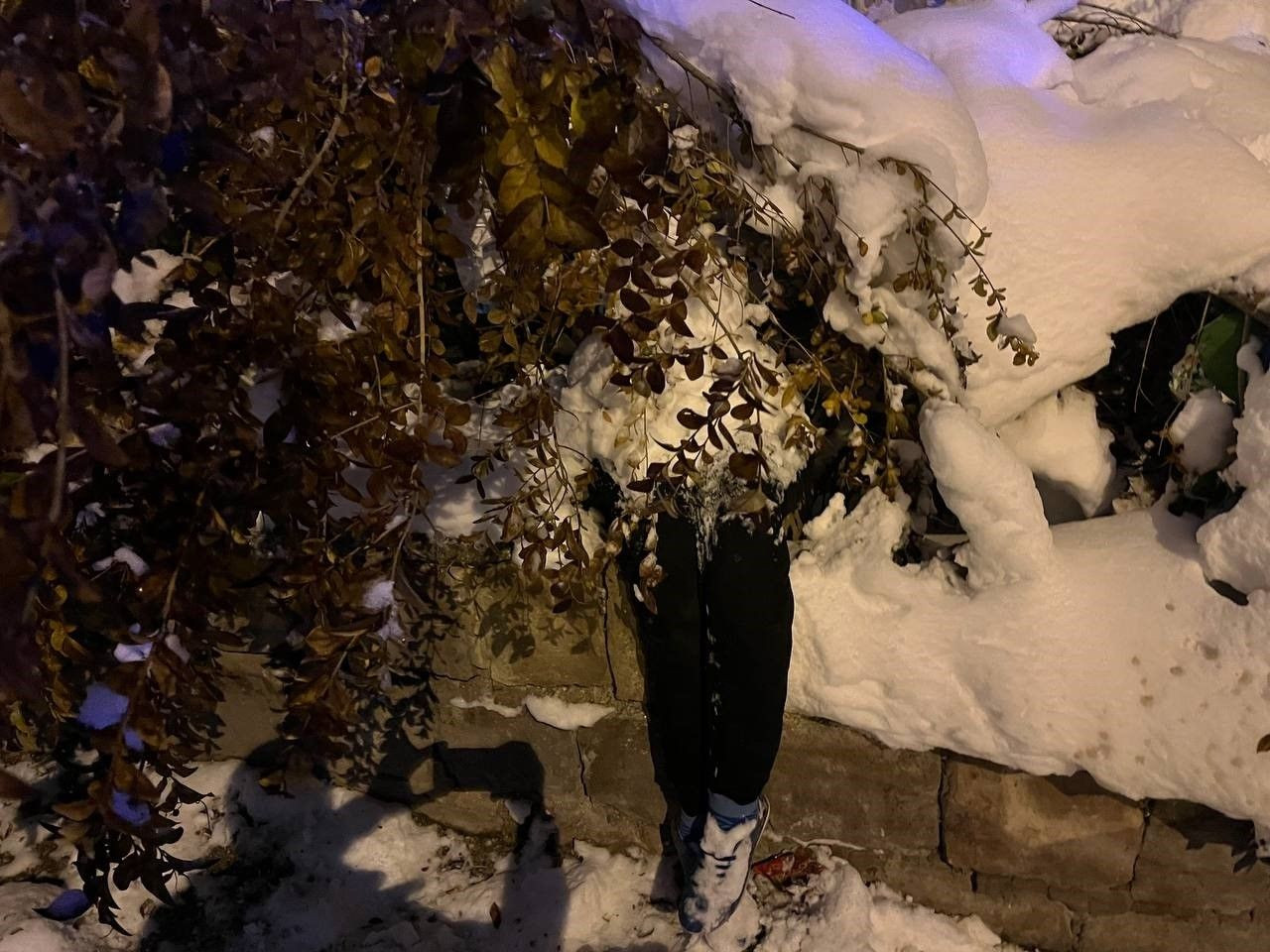 Kardan Adamı Ceset Sandı, Mahalle Karıştı - Sayfa 3