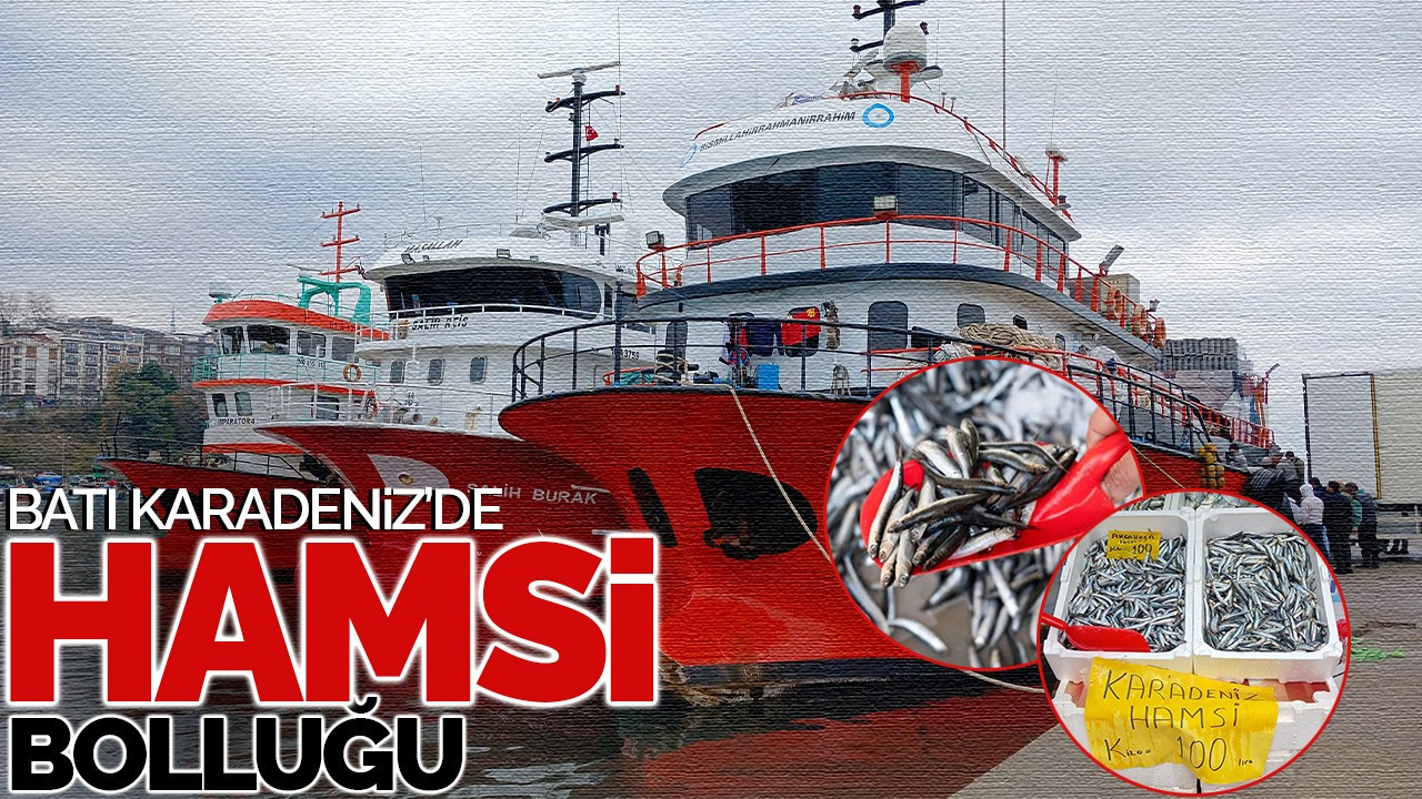 Batı Karadeniz'de "Hamsi" Bolluğu Yüzleri Güldürdü