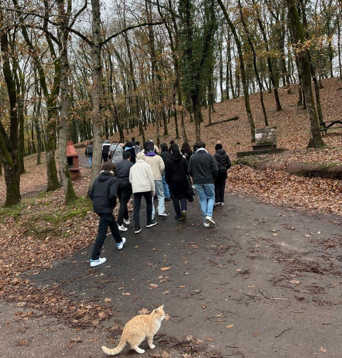 Büyükşehir, öğrencileri Sakarya’nın güzellikleriyle buluşturdu - Sayfa 5