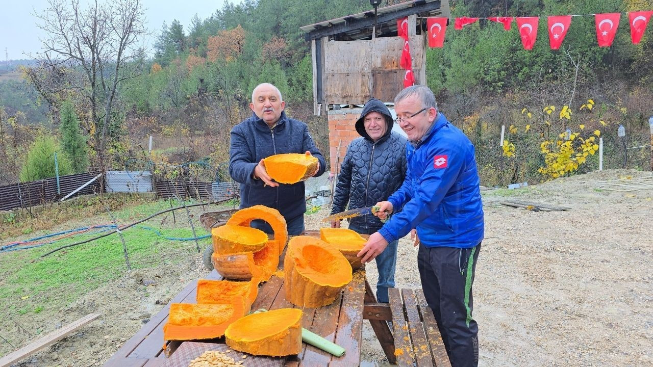 Bahçesinde yetişen 40 kiloluk dev kabağı motorlu testereyle kesebildi