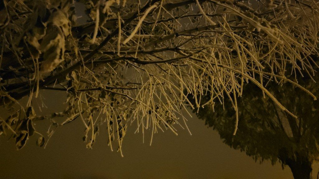 Bitlis'te Sibirya soğuklarının Etkisiyle Araçlar Naylon Brandalarla Sarıldı - Sayfa 6