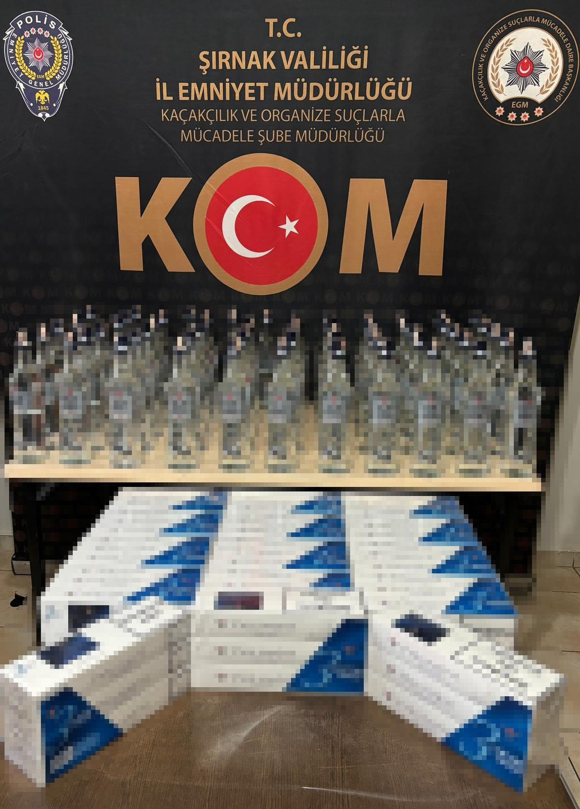 Şırnak'ta terör asayiş, narkotik ve kaçakçılık operasyonu gerçekleşti - Sayfa 9