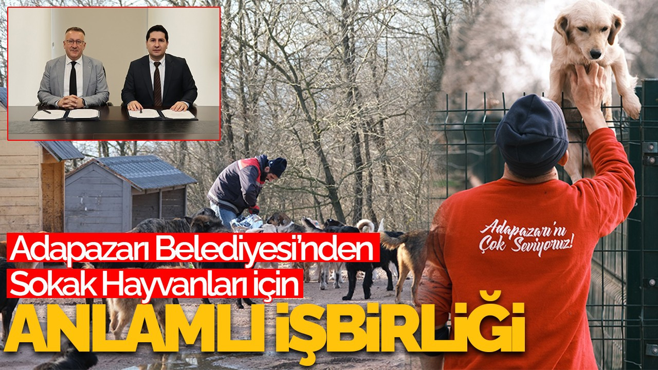 Sokak Hayvanları İçin Anlamlı İş Birliği: Gıda Fazlalıkları Hayvanlara Ulaşıyor