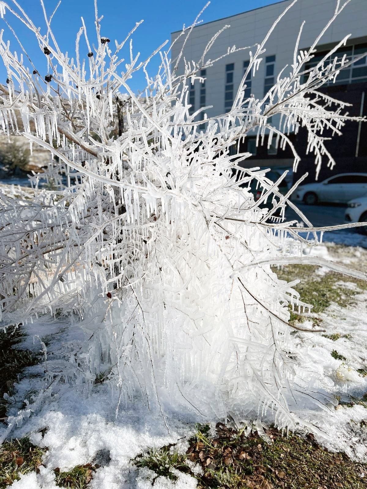 Yozgat’ta Soğuk Hava Buz Sarkıklarıyla Görsel Şölene Dönüştü - Sayfa 4